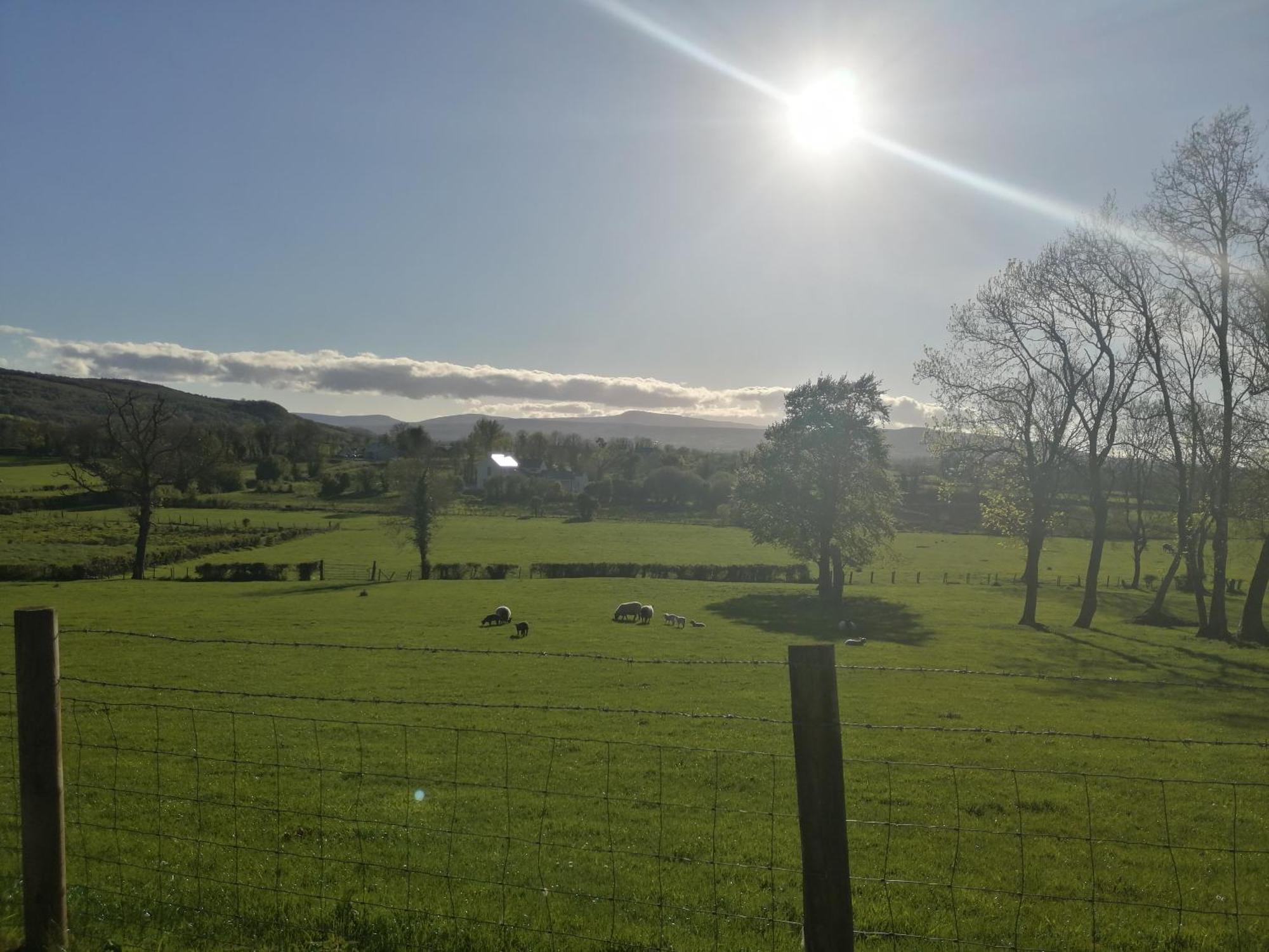 Knockninny Barn At Upper Lough Erne, County Fermanagh 恩尼斯基林 外观 照片