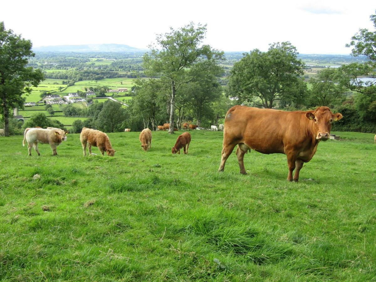 Knockninny Barn At Upper Lough Erne, County Fermanagh 恩尼斯基林 外观 照片