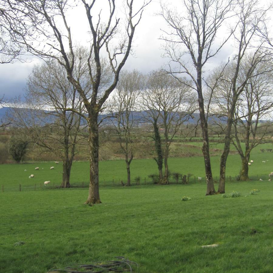 Knockninny Barn At Upper Lough Erne, County Fermanagh 恩尼斯基林 外观 照片